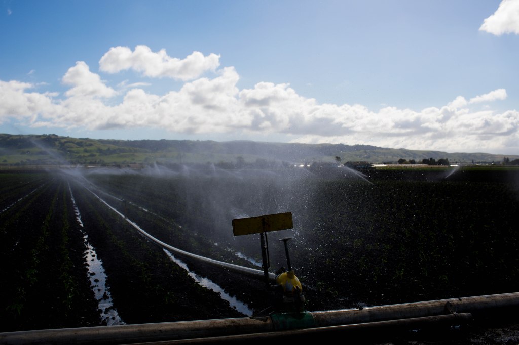 Valley Water grapples with “unsustainable” water subsidy for&nbsp;farmers